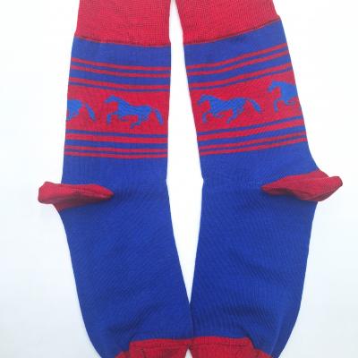 Socks03